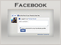 get facebook on your website